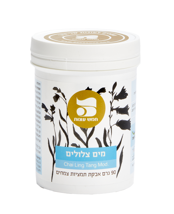 תמונה